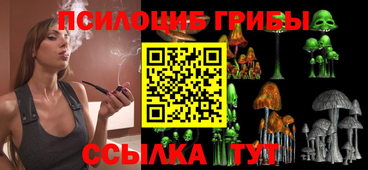 Псилоцибиновые грибы мухоморы Мурманск